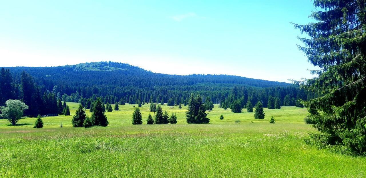 Benesov nad Cernou #Apt23 - Apartman 23 - Novohradske Hory מראה חיצוני תמונה