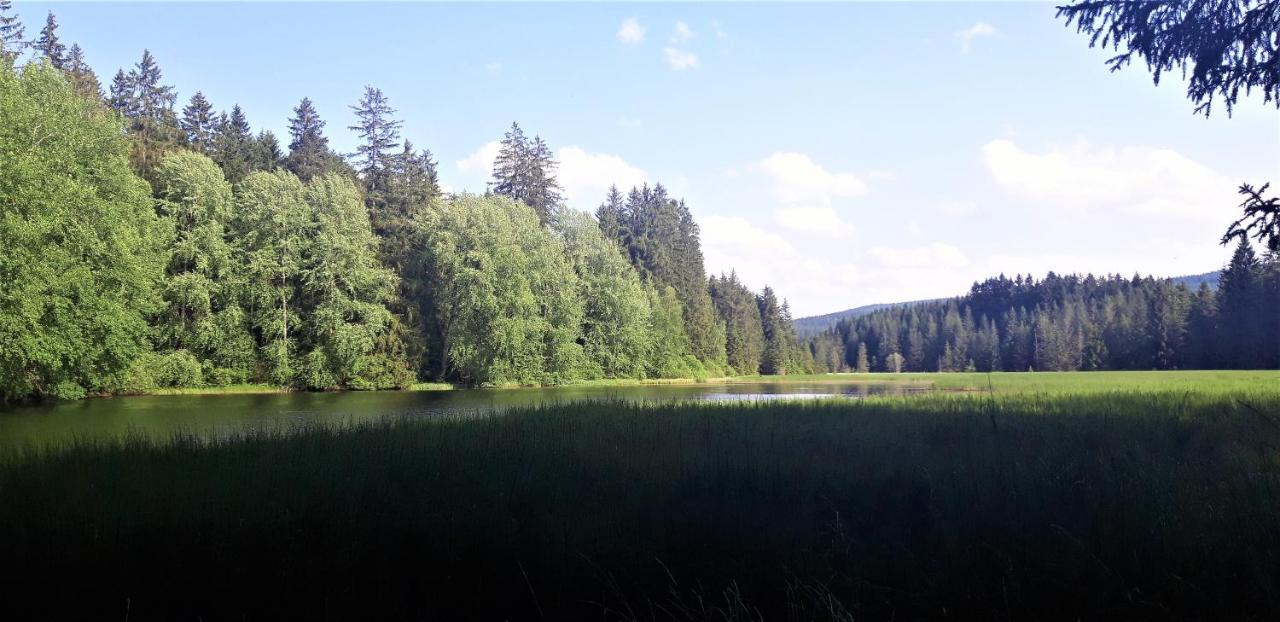 Benesov nad Cernou #Apt23 - Apartman 23 - Novohradske Hory מראה חיצוני תמונה