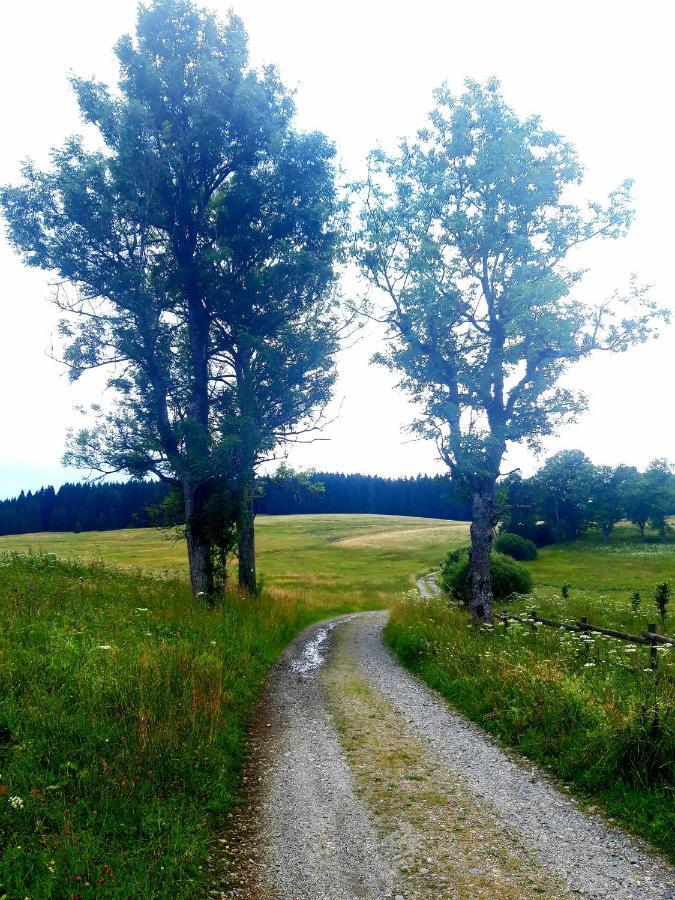 Benesov nad Cernou #Apt23 - Apartman 23 - Novohradske Hory מראה חיצוני תמונה